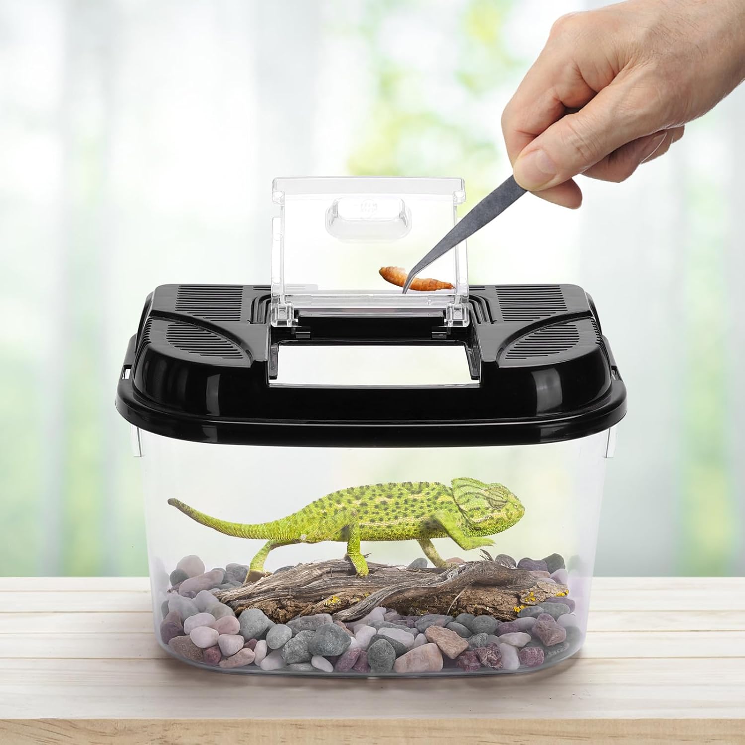 Detalle de Nobleza Terrario di Plastica per Rettili – L28×P18×A18 cm, trasparente con coperchio ventilato e manico