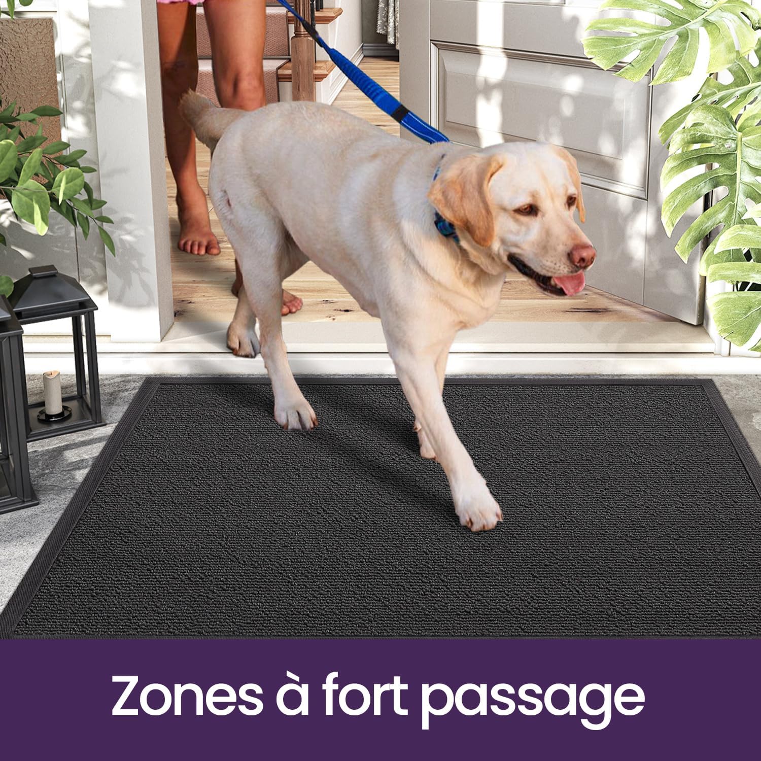 Thumbnail 6 de DEXI Paillasson d’extérieur pour entrée 80 x 120 cm antidérapant, lavable, profil bas – gris