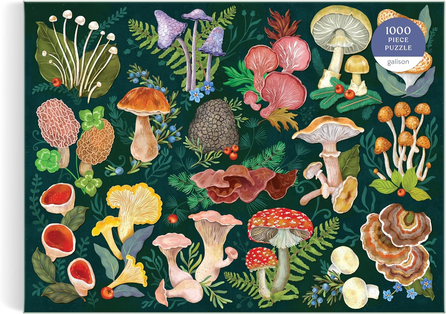 Thumbnail 6 de Galison World of Mushrooms puzzel met 1.000 stukjes en paddenstoelencollage