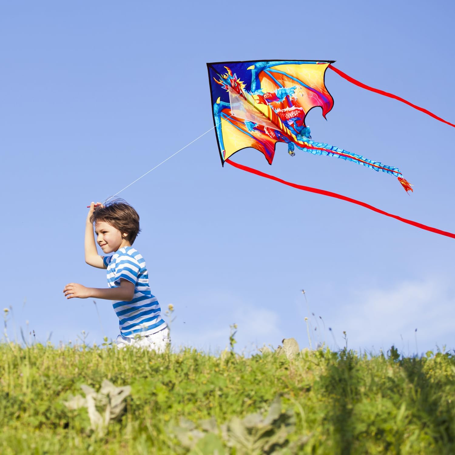 Thumbnail 4 de HONBO Large Delta Kite for Kids and Adults – Easy to Fly, 56x66 inches Dragon Design with 200ft String