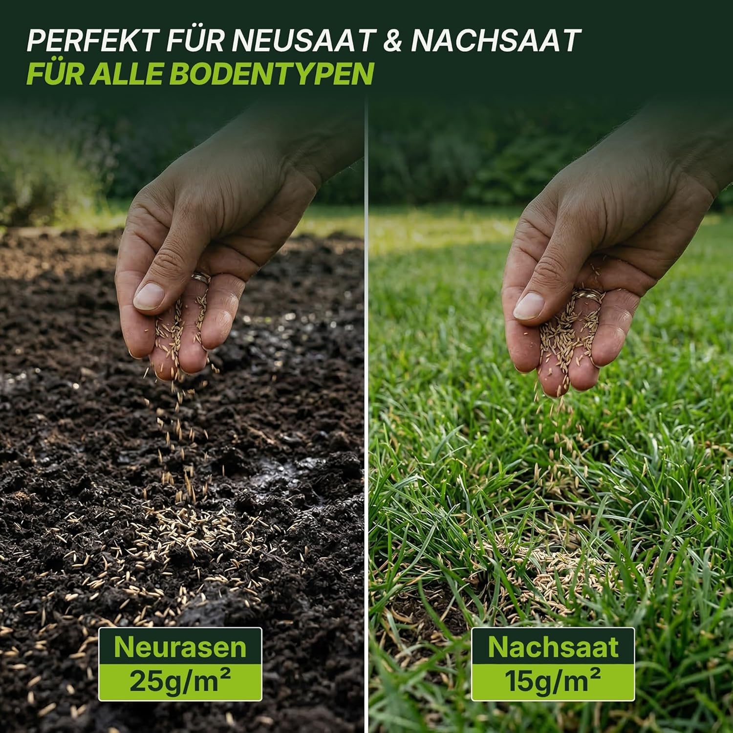 Detalle de Terrauno Rasensamen 10 kg für 200 m²