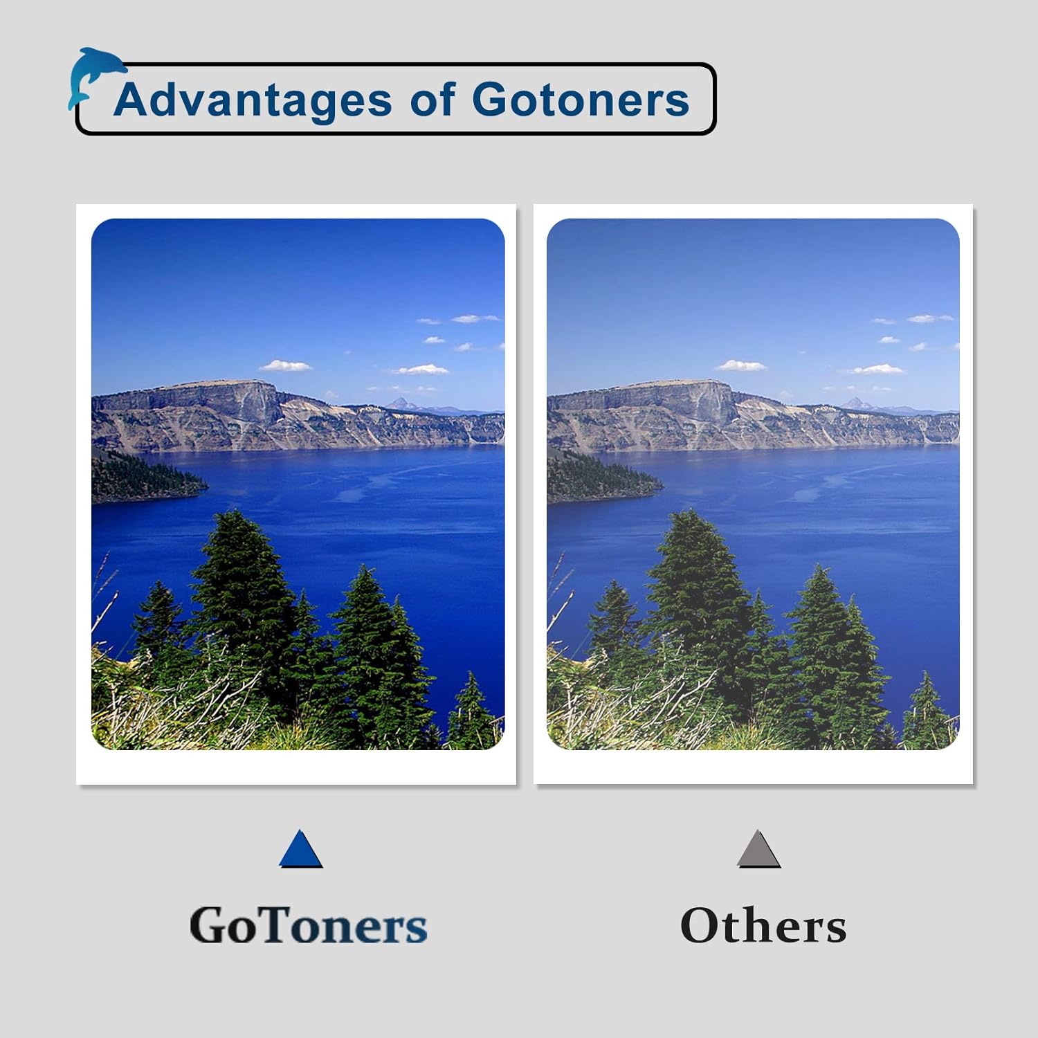 Thumbnail 5 de GoToners XXL Druckerpatronen 6er Pack 🖨️