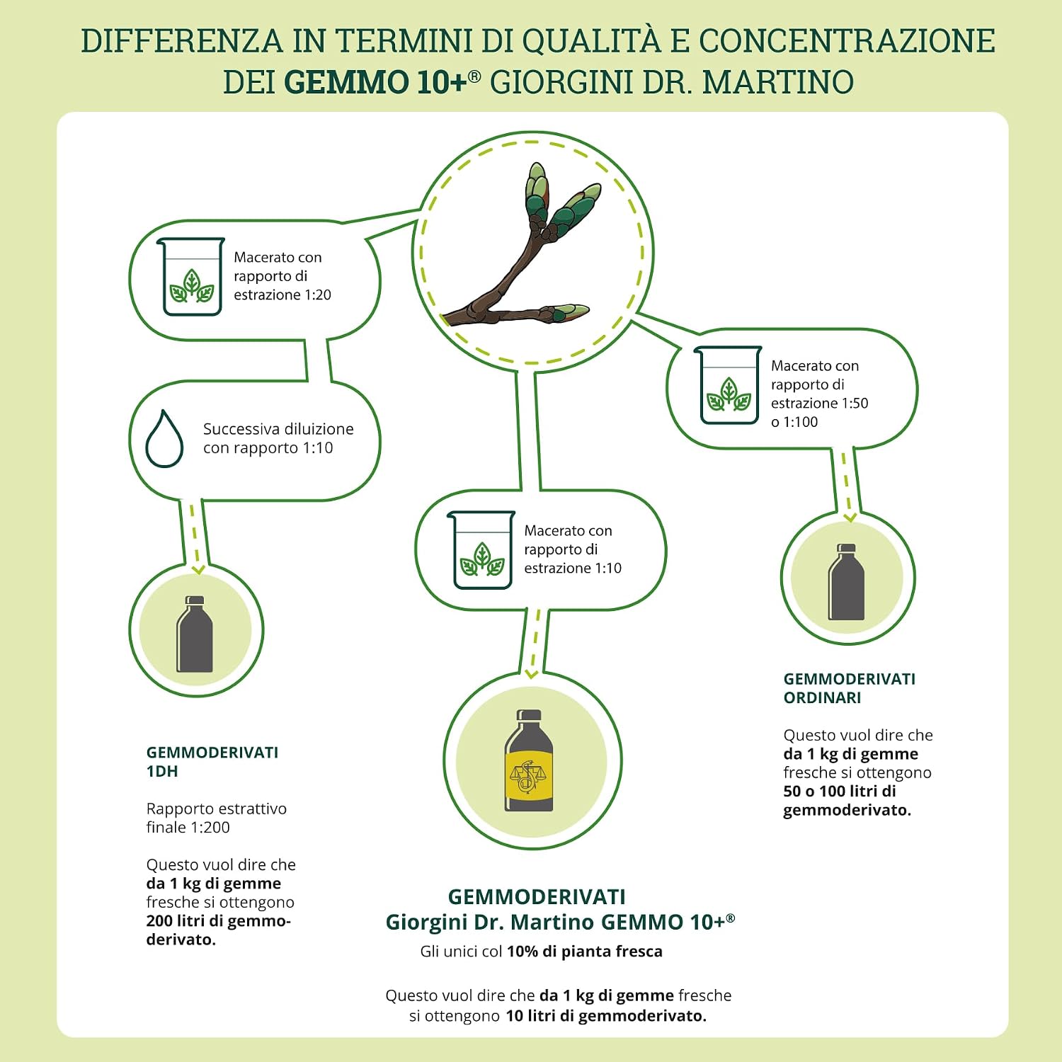 Thumbnail 1 de Dr Giorgini Integratore Alimentare al Lampone (Gemmoderivato) Concentrato Liquido Analcolico – 100 ml