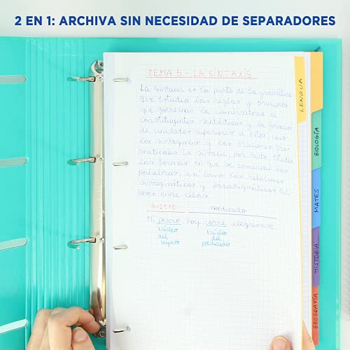 Detalle de Oxford Black N'Colours: pack de 2 cuadernos A4+ con 5 pestañas y cuadrícula 5x5