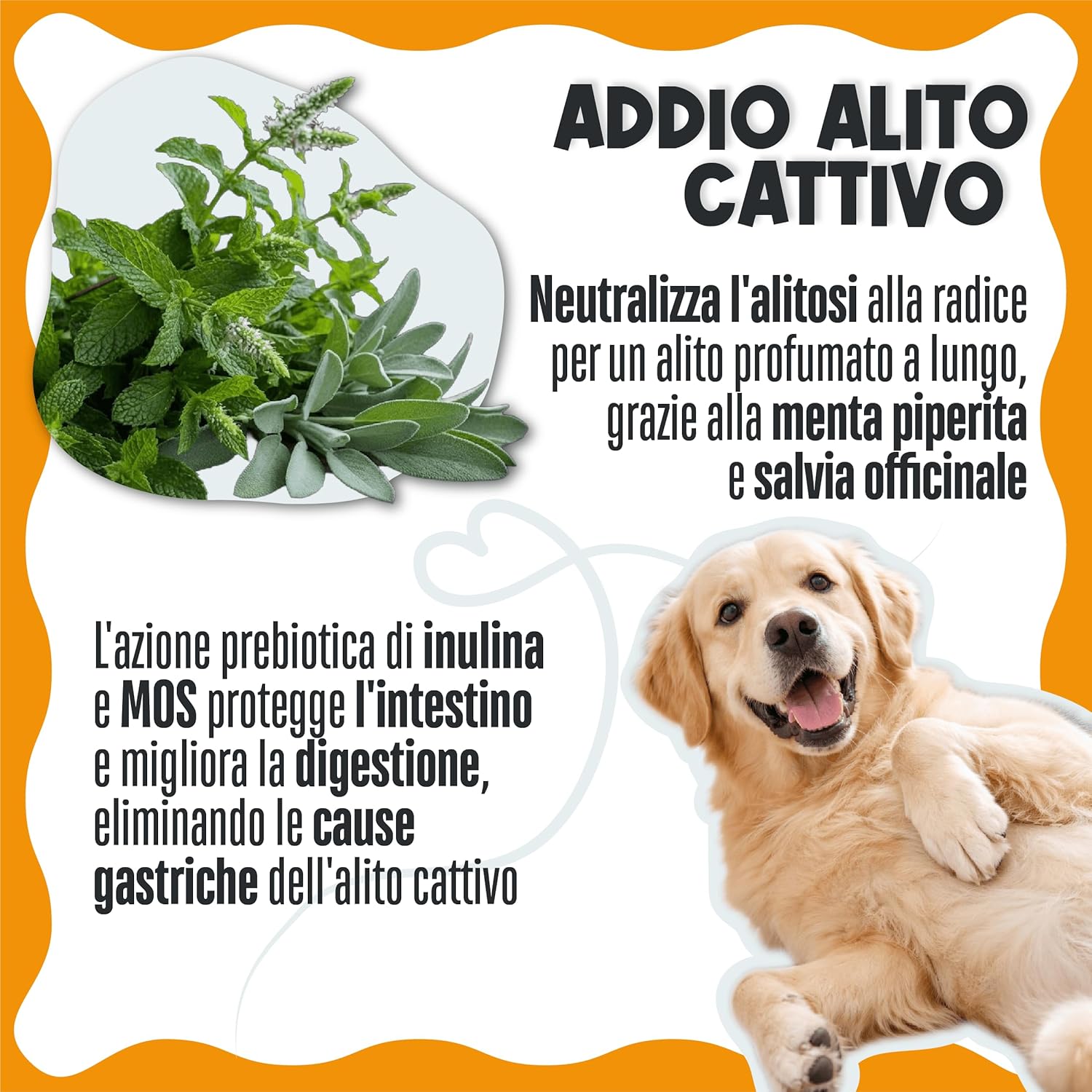 Detalle de Pulizia Denti Cane e Gatto, Polvere Dentale Sciogli Tartaro e Placca – Dental Bright, 100 g (50 Dosi)