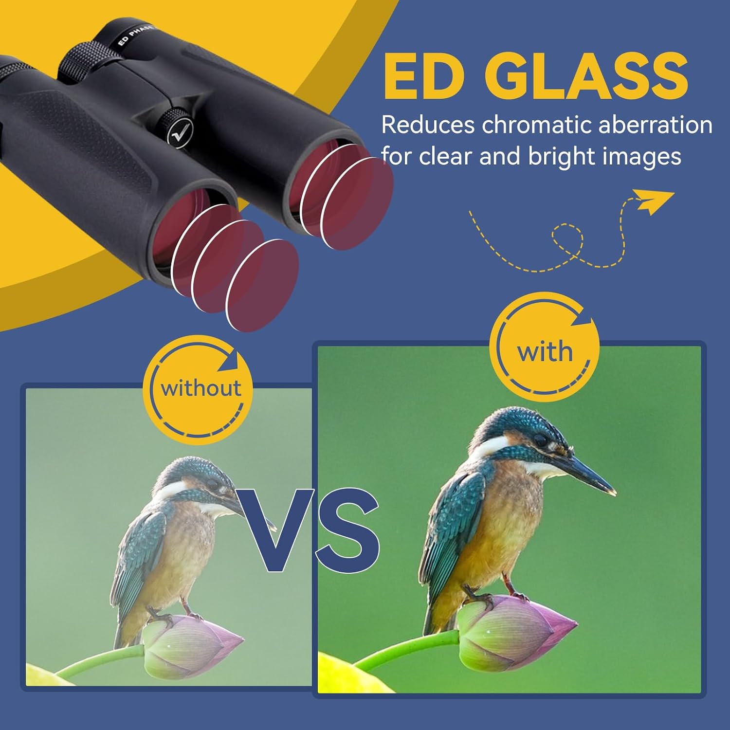 Detalle 2 de Svbony SV202 10x42 Binoculars Review: Solid Mid‑Range for Birdwatching and Wildlife