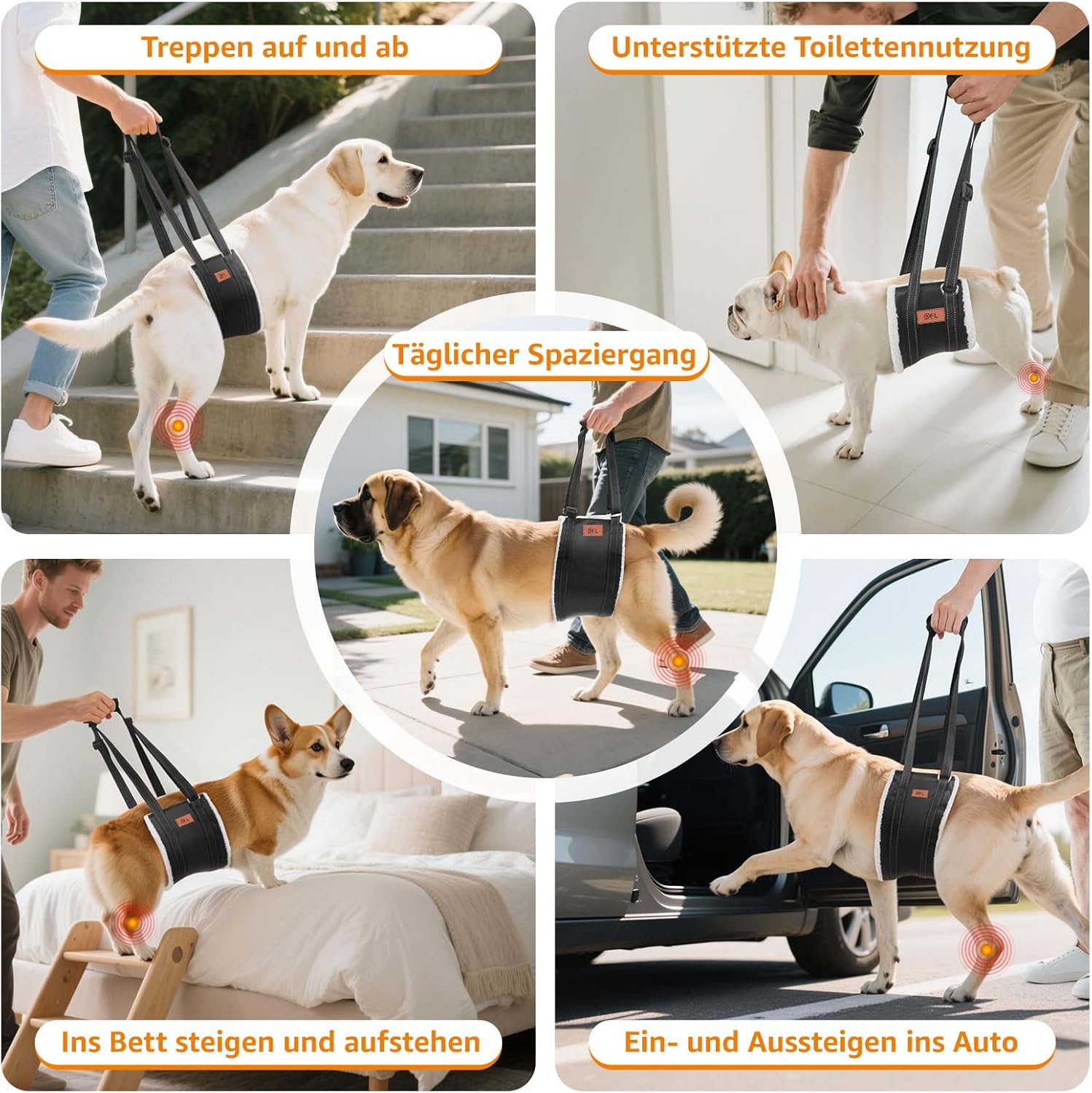 Thumbnail 6 de PICK FOR LIFE Hundegeschirr als Tragehilfe – einstellbarer Rücken- & Lift-Support für kleine bis große Hunde