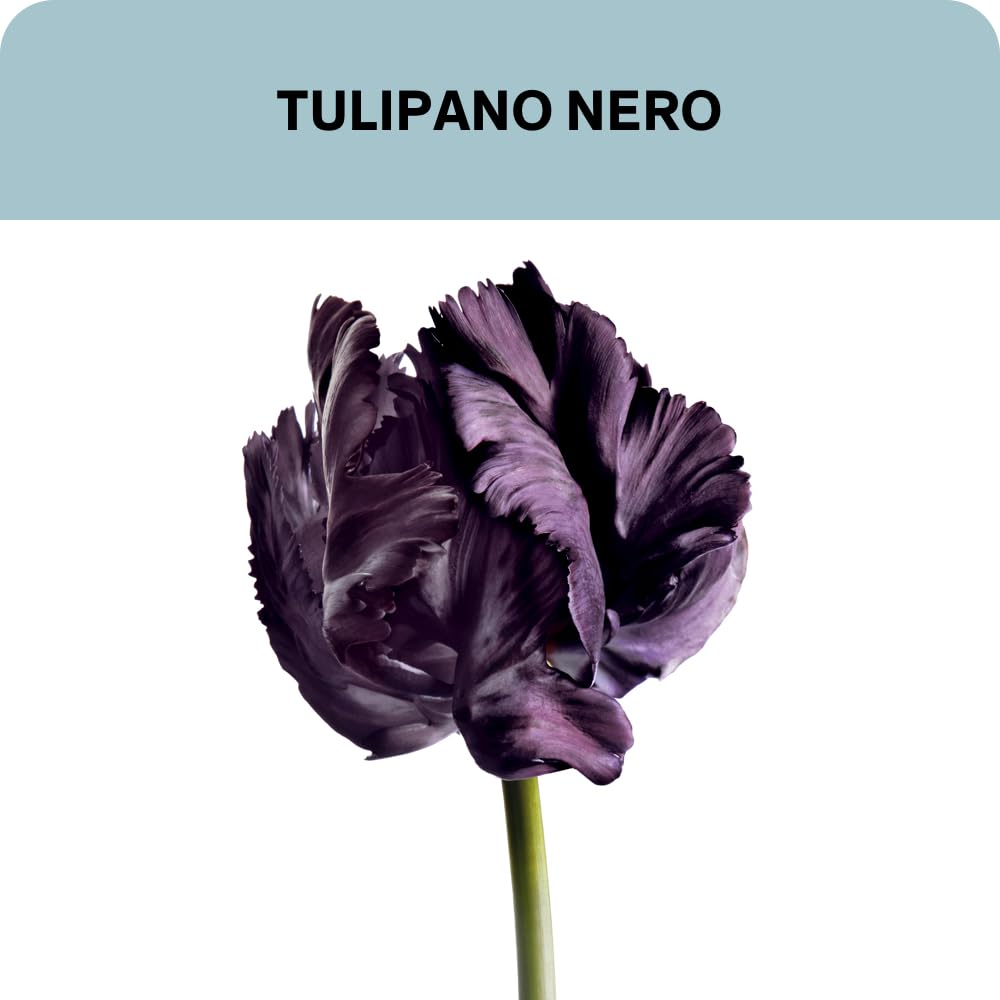 Thumbnail 2 de Lierac Homme Energiespendendes Feuchtigkeitsgel (50 ml) – revitalisierendes 3‑in‑1-Gel gegen Zeichen von Müdigkeit