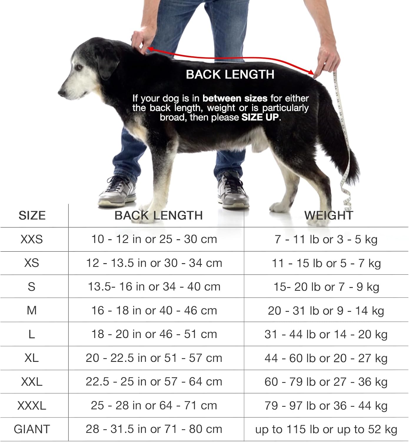 Detalle 1 de Lucky Pooch Dog Bathrobe, XS