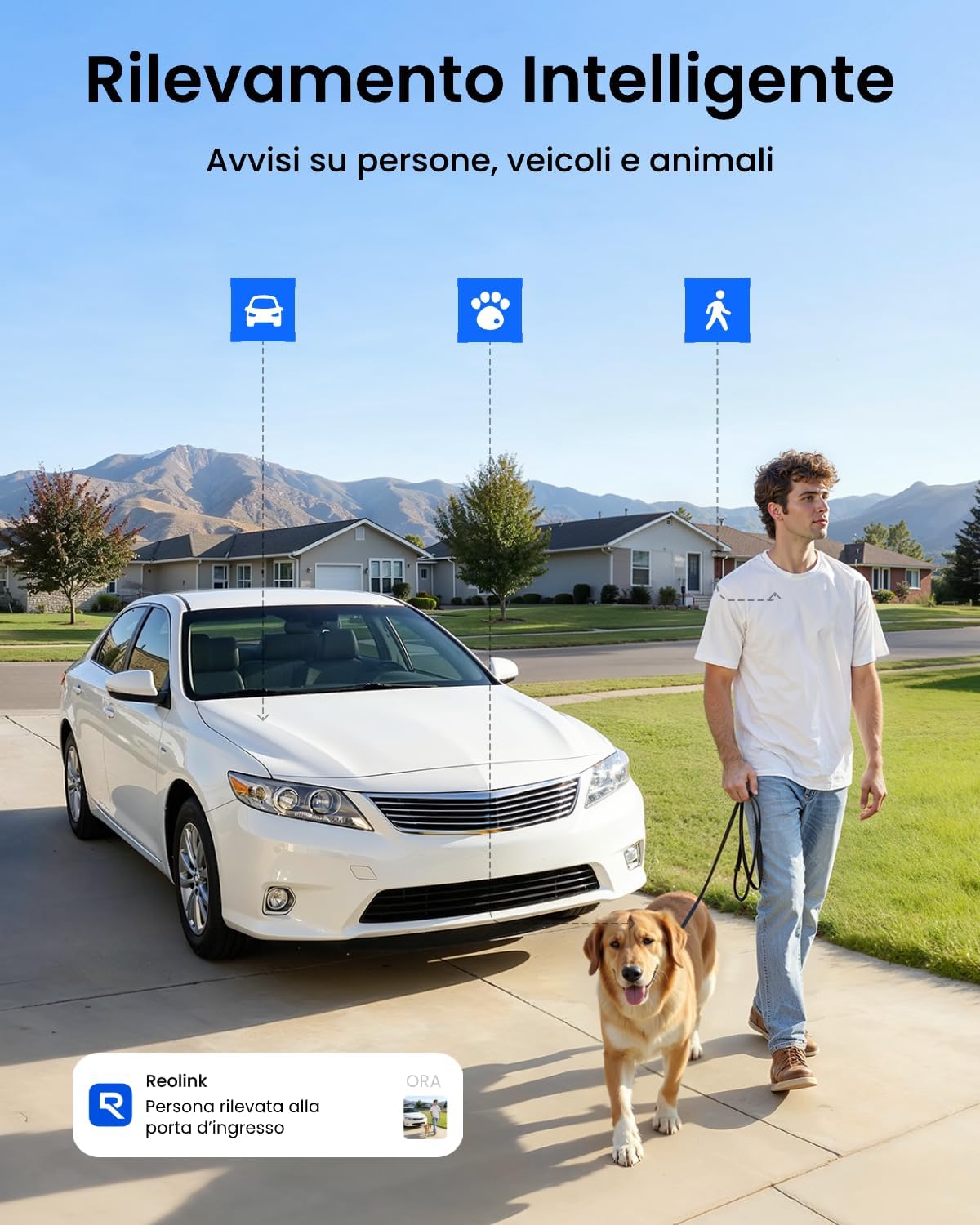 Thumbnail 6 de Reolink Kit Telecamere Wi‑Fi Esterno Senza Fili 5MP con Visione Notturna a Colori, Pannello Solare e Home Hub Mini (4× Argus 3 Pro+)