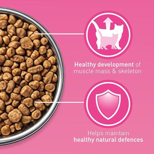 Detalle de Purina ONE Kitten Chicken Dry Cat Food 750g (Pack of 4) review