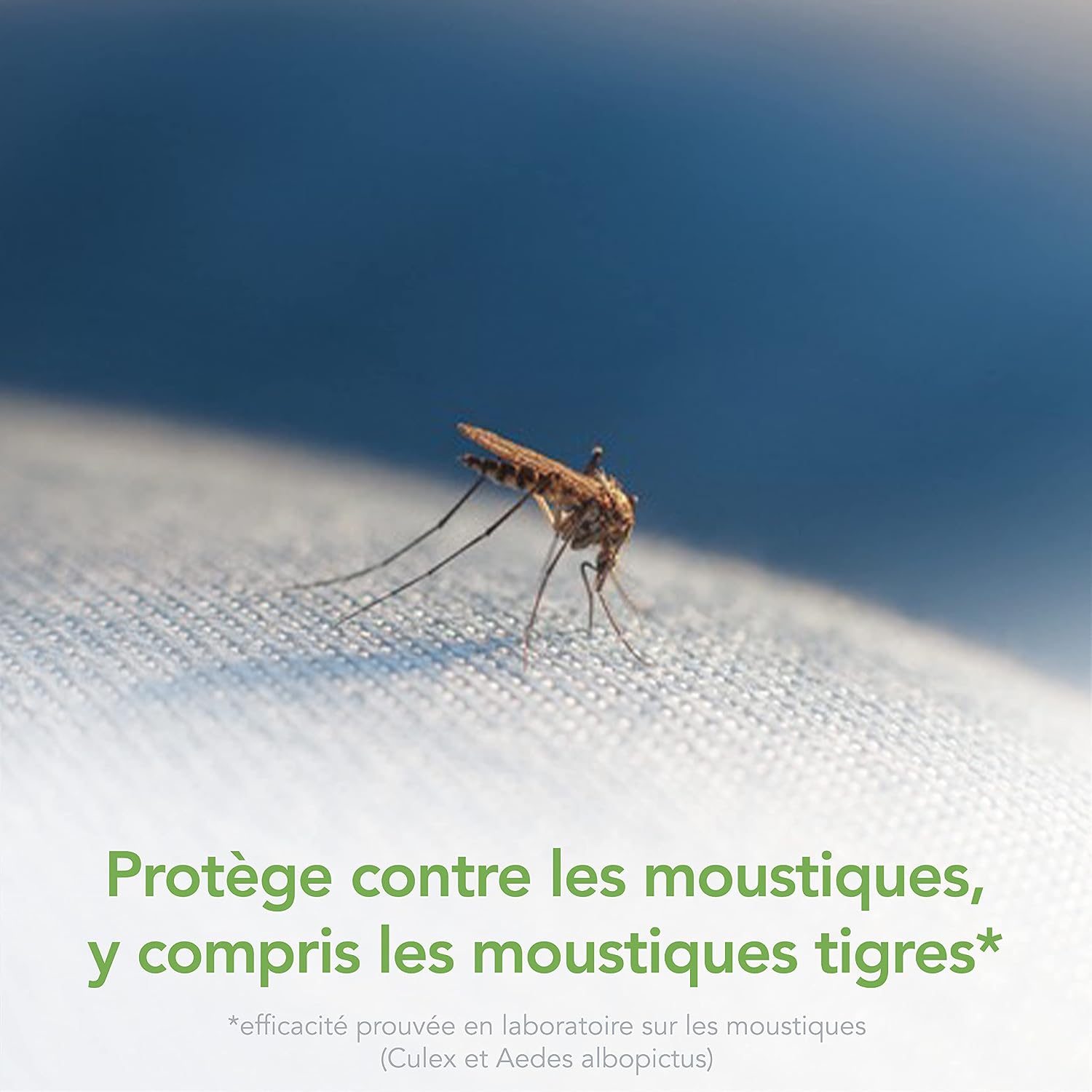 Detalle 2 de Raid Essentials Diffuseur Électrique — 2 Diffuseurs + 2 Recharges