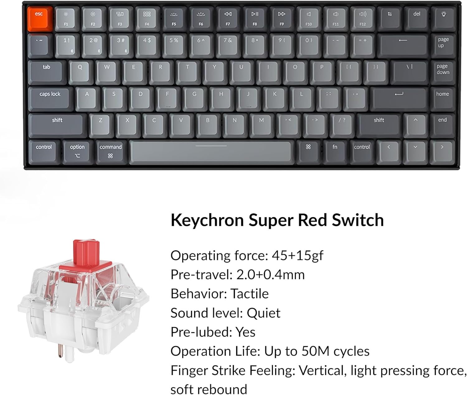 Detalle de Keychron 75% mechanical keyboard, 84-key layout