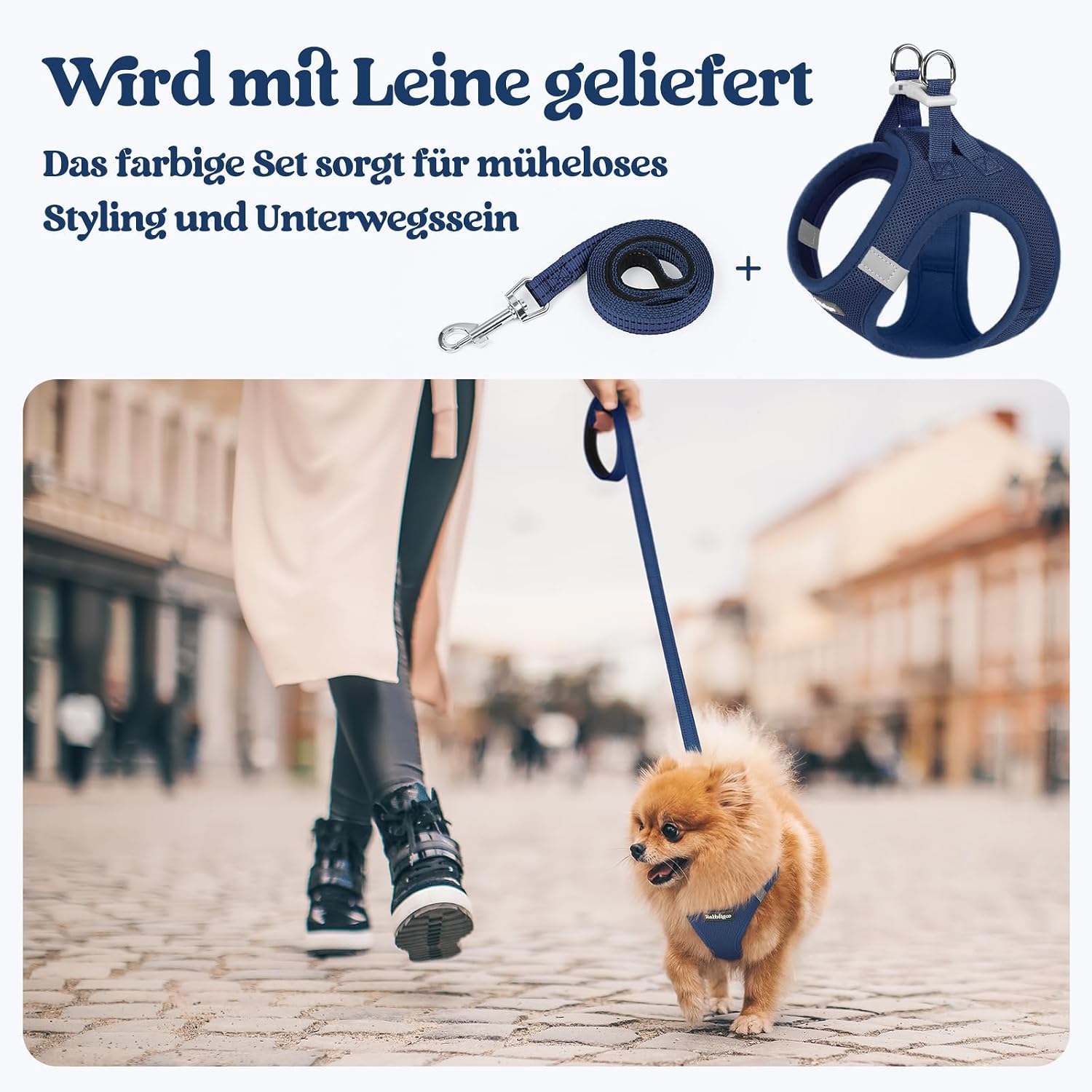 Detalle de rabbitgoo Hundegeschirr Kleine Hunde mit Leine (Step-in) – Dunkelblau, Größe S