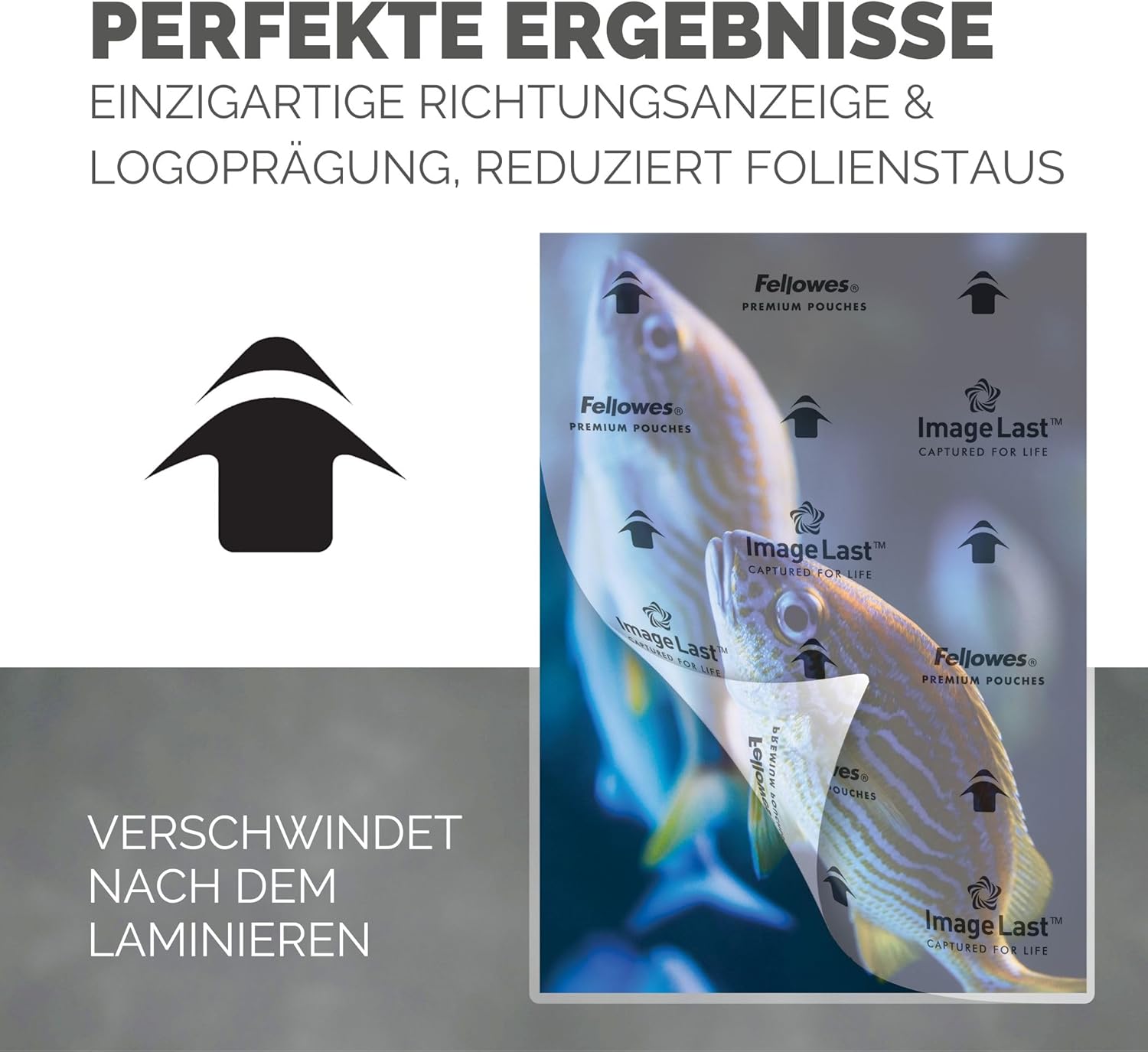 Detalle de Fellowes Laminierfolien A4, glänzend – 80 μm pro Seite, ImageLast Ausrichtungshilfe, 5x100 Stück (500 Folien) – kompatibel mit Heißlamination