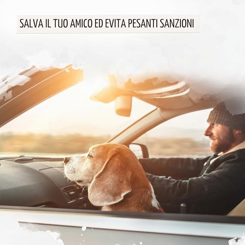 Detalle de Rudelkönig Cintura Sicurezza Cani Auto – Elastica e Regolabile