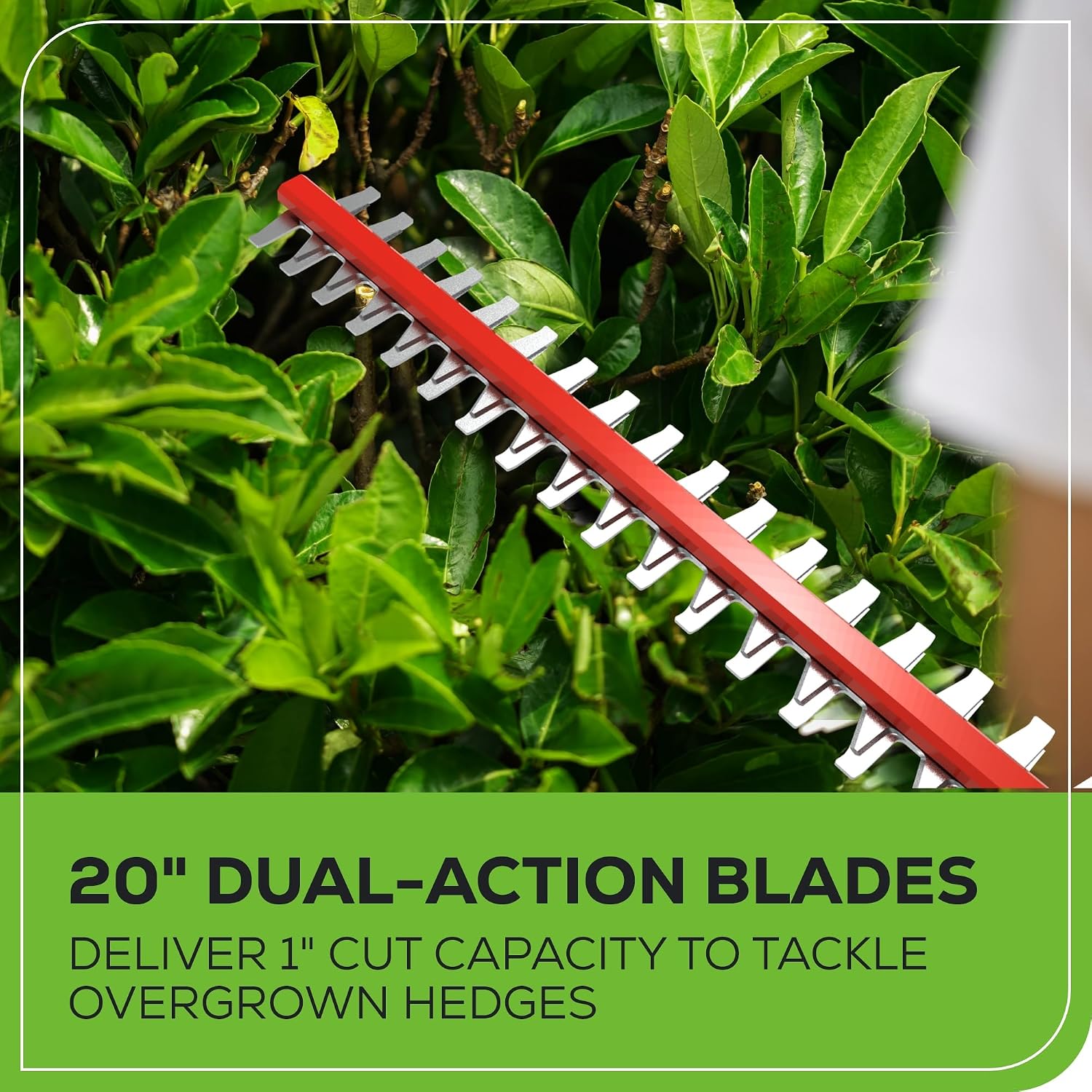 Thumbnail 6 de Greenworks Pole Saw and Hedge Trimmer Kit 40V