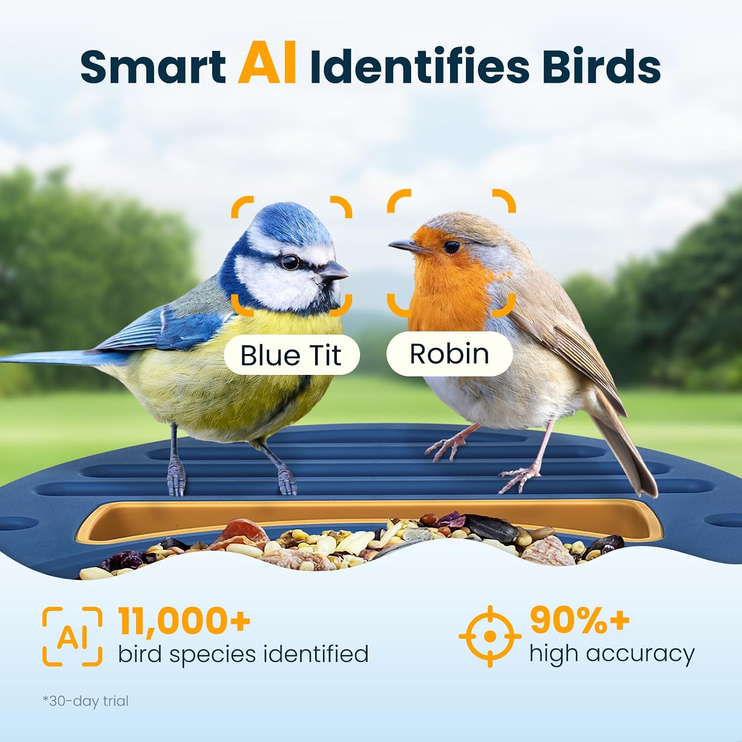 Detalle de Smart Bird Feeder with Camera: 2.5K UHD, AI ID, Solar Powered, IP66