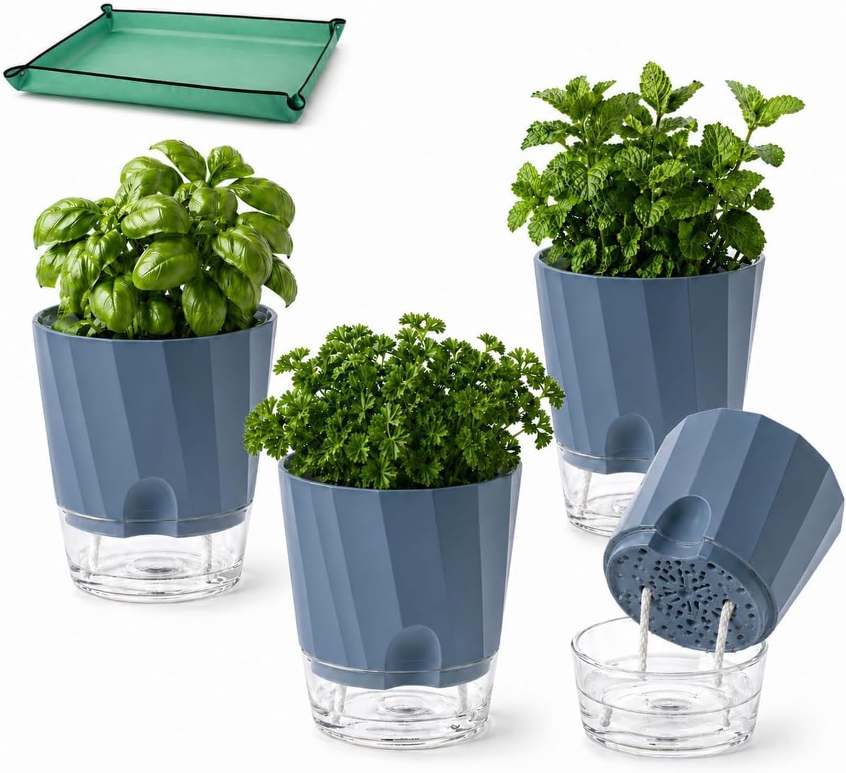 Detalle de Feung gou självvattnande örtkrukor, 4-pack i blå PP-plast, 15,3 cm