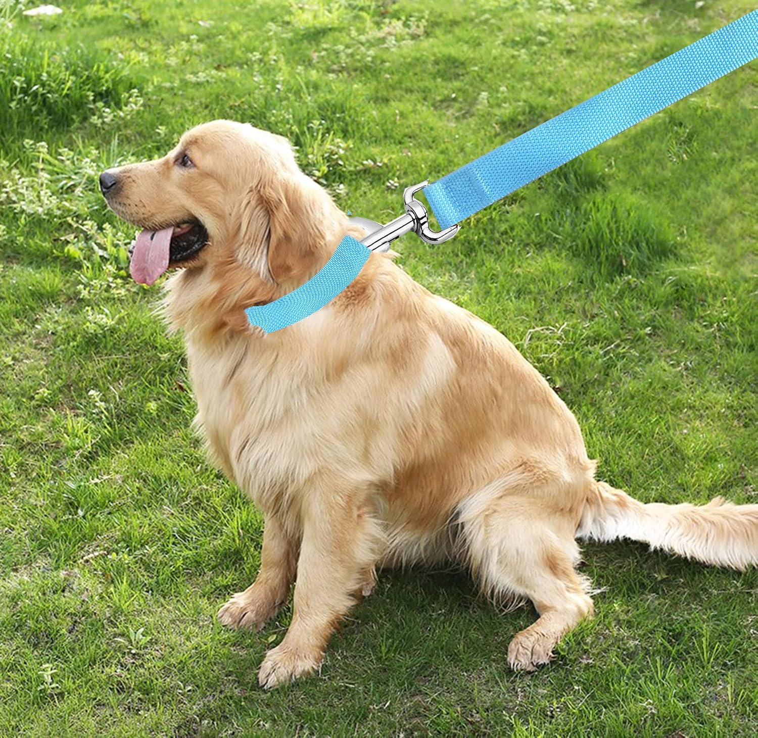 Thumbnail 6 de TAIAN Nylon Dog Leash, 5 ft