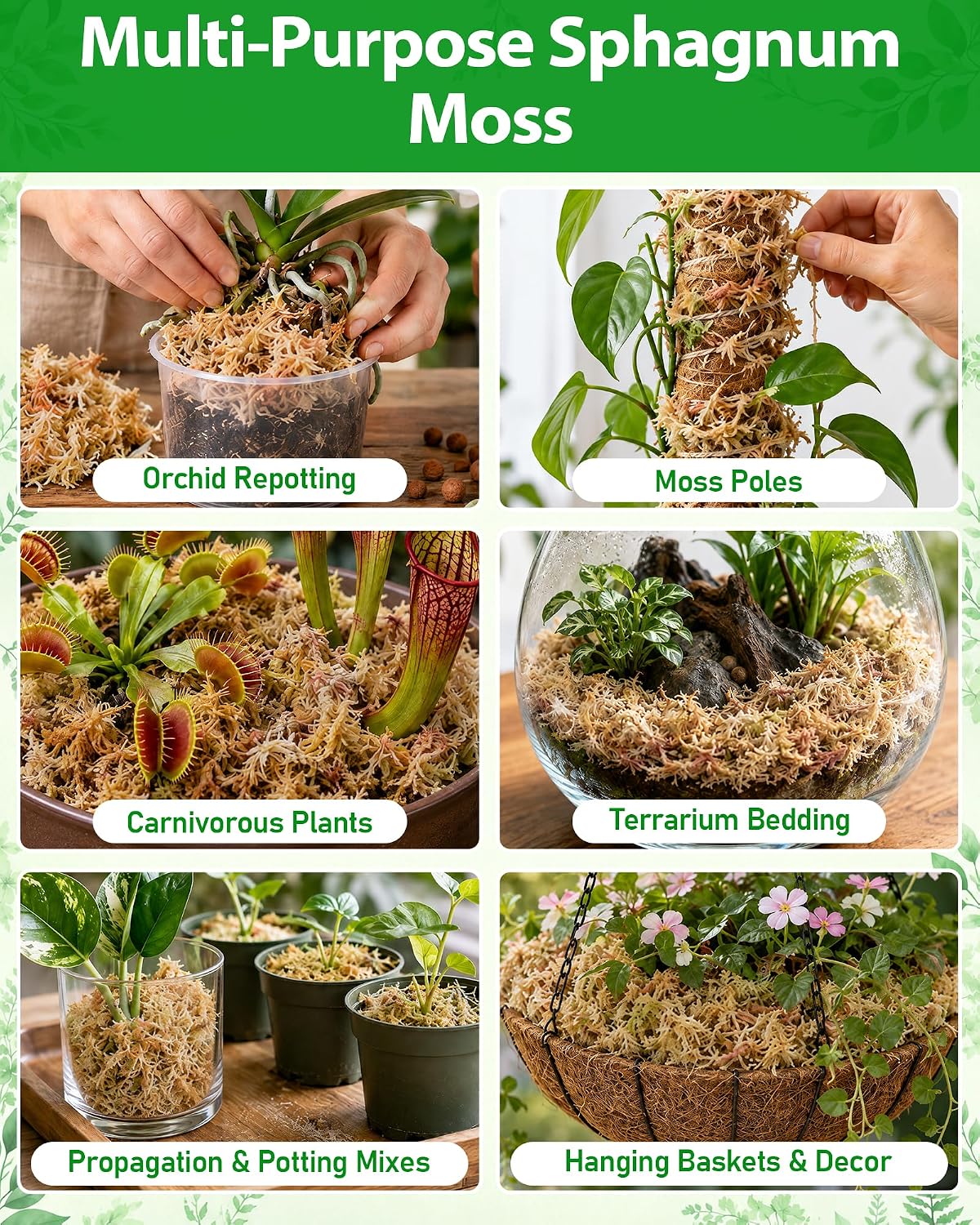 Detalle de Riare Natürliche Terrarium Moos 5.3 oz Sphagnum Moss, Long-Fibre Block