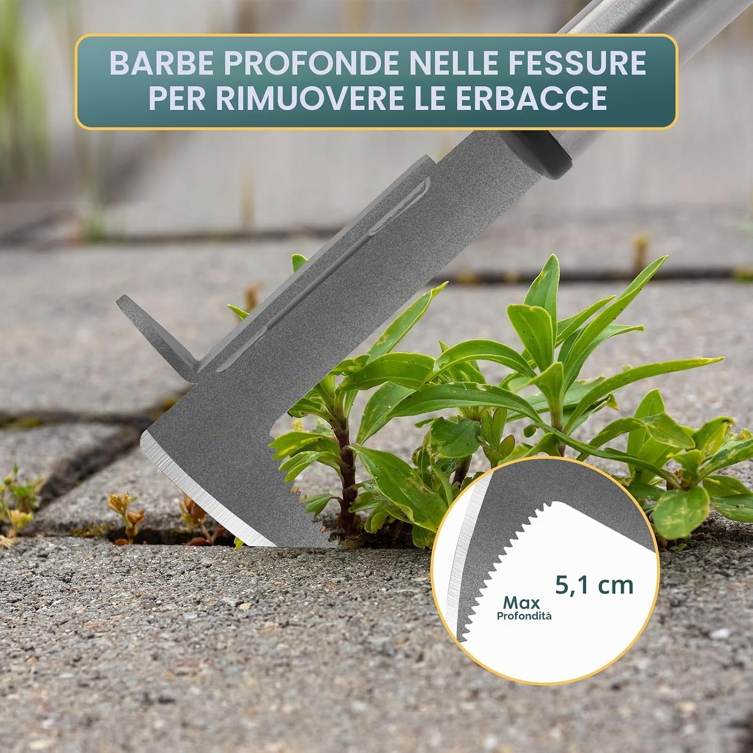 Detalle de BARAYSTUS Estirpatore Erbacce Manuale: Raschietto per Fughe con Impugnatura da 33 cm, Bordo Seghettato in Acciaio Inox