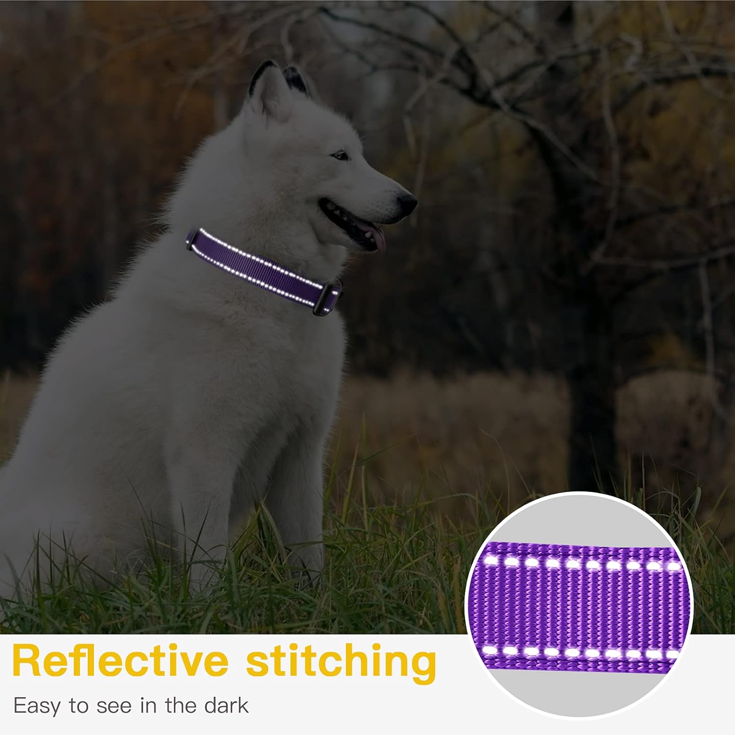 Detalle de HEELE Reflective Dog Collar with Soft Neoprene Padding (M, Purple)
