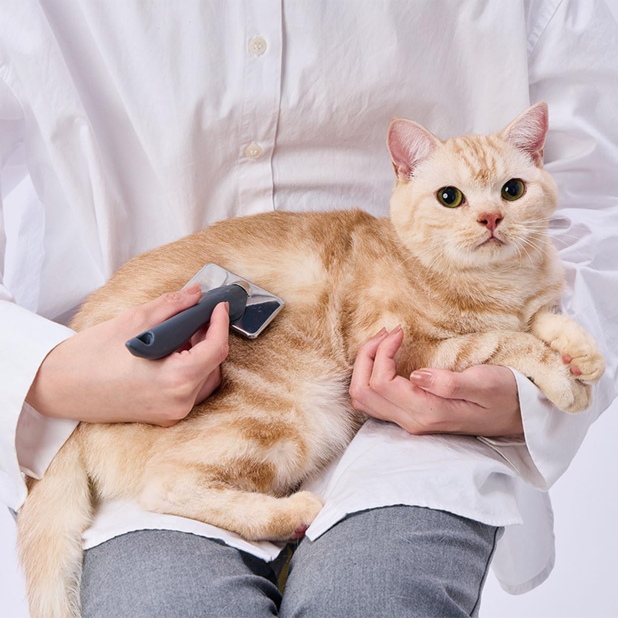Detalle de ペティオ FIXCARE 犬猫用ハードスリッカーブラシ ミニ、ステンレス製ピン・ゴム製ハンドル