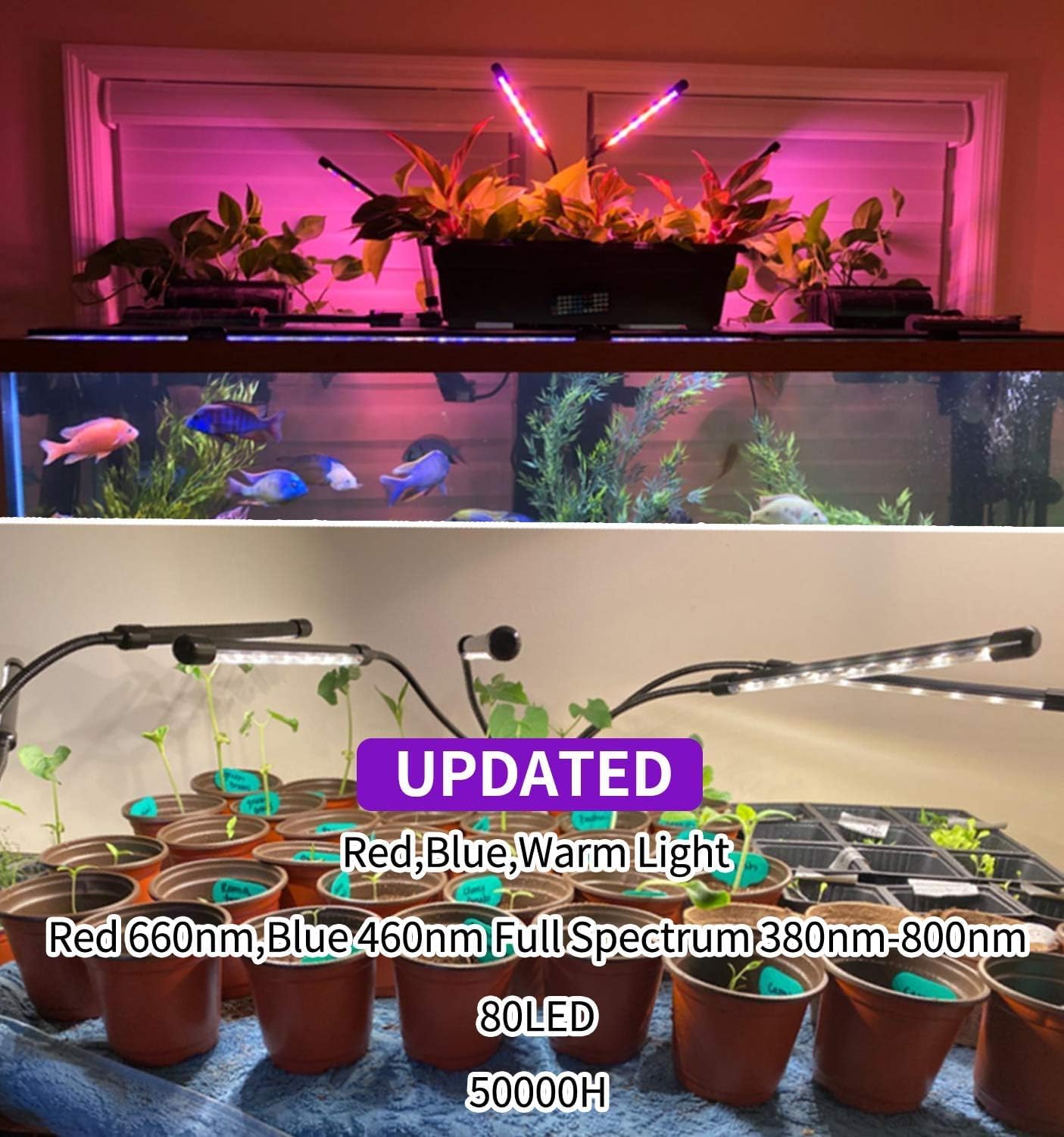 Detalle de LEOTER 100-2025 Indoor Grow Light with 80 LEDs, Timer and Gooseneck