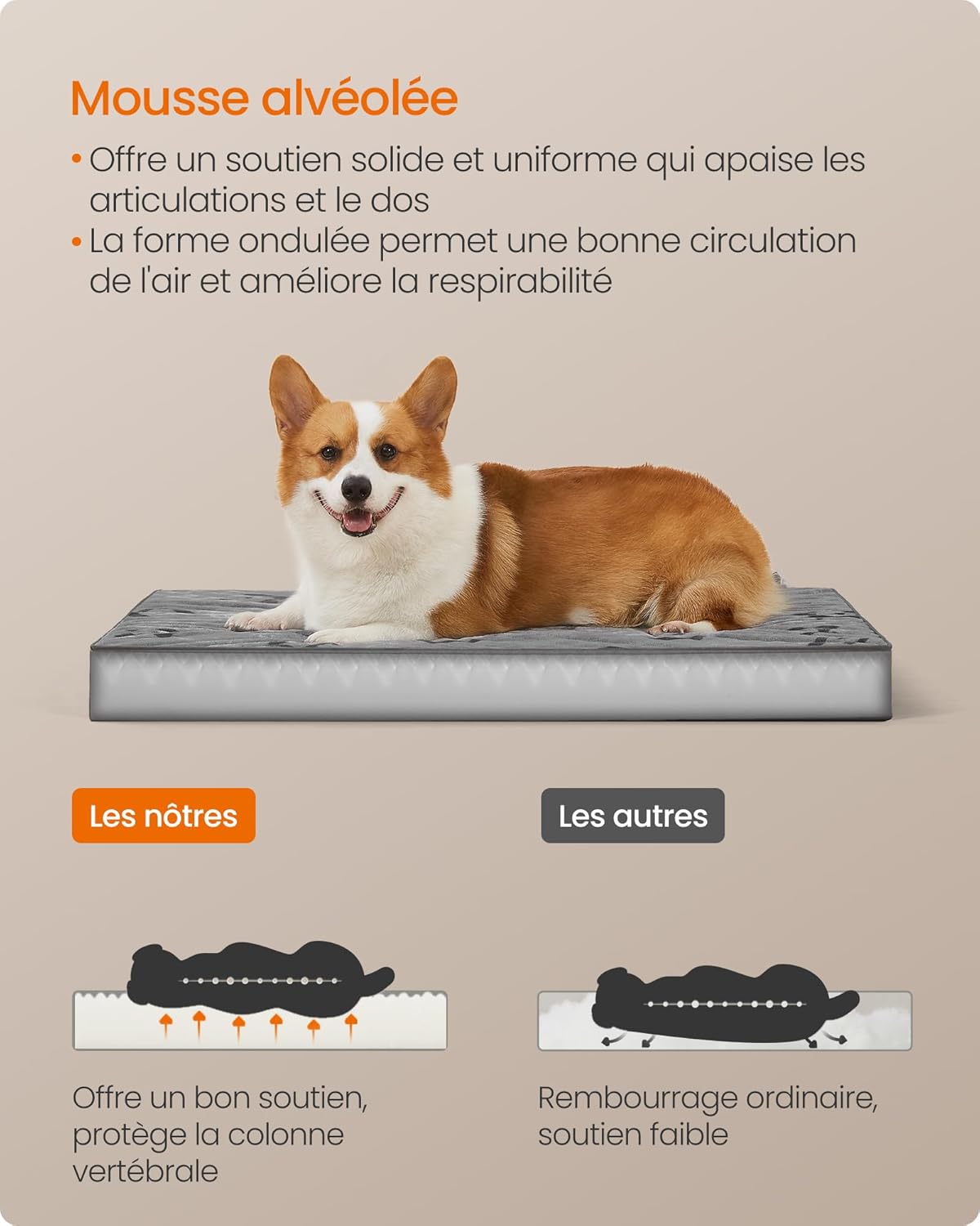 Detalle 2 de Feandrea Panier pour Chiens Taille L