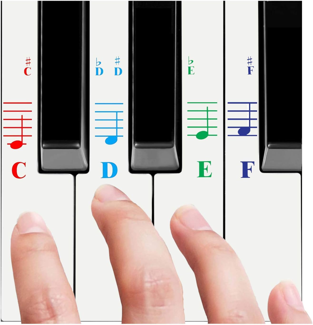 Detalle de QMG Piano Key Stickers, Transparent Vinyl
