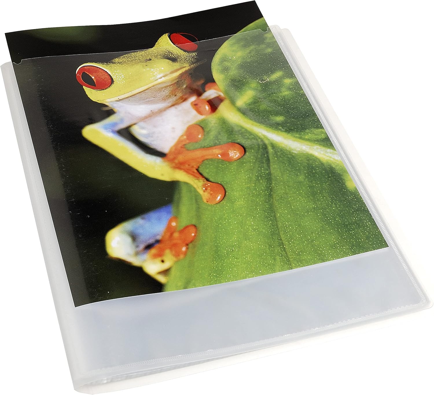 Thumbnail 4 de Exacompta Kreacover Chromaline 5748E – Paquet de 5 protège-documents A4, 40 pochettes transparentes