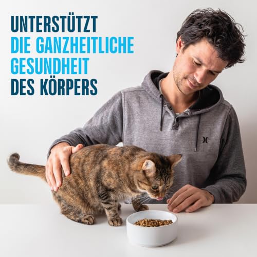 Detalle 2 de PERFECT FIT Katzenfutter-Portionsbeutel Senior 7+, Truthahn & Karotten – 12 x 85 g (Mars)