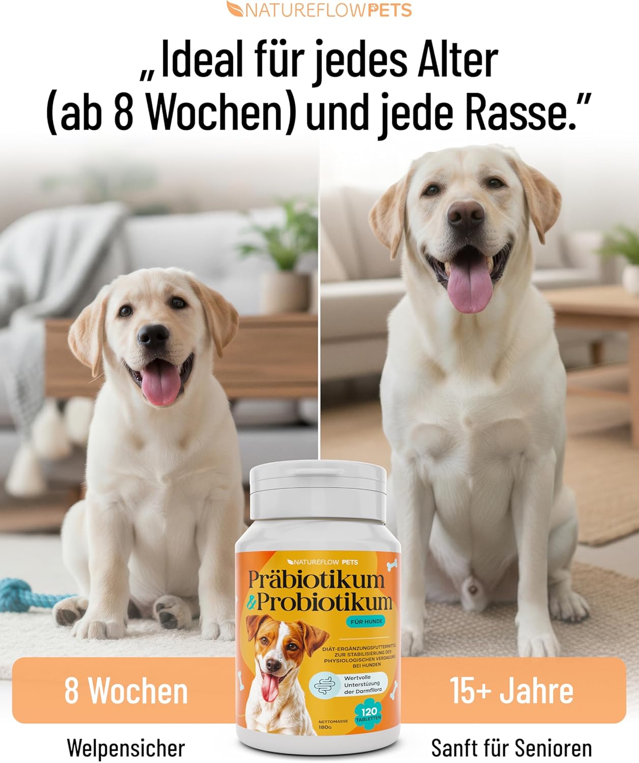 Thumbnail 4 de Natureflow Pets Probiotika Hund 670 Milliarden KBE