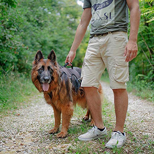 Detalle 2 de Ferplast ERGOTREKKING arnés perro 6 cierres reflectante
