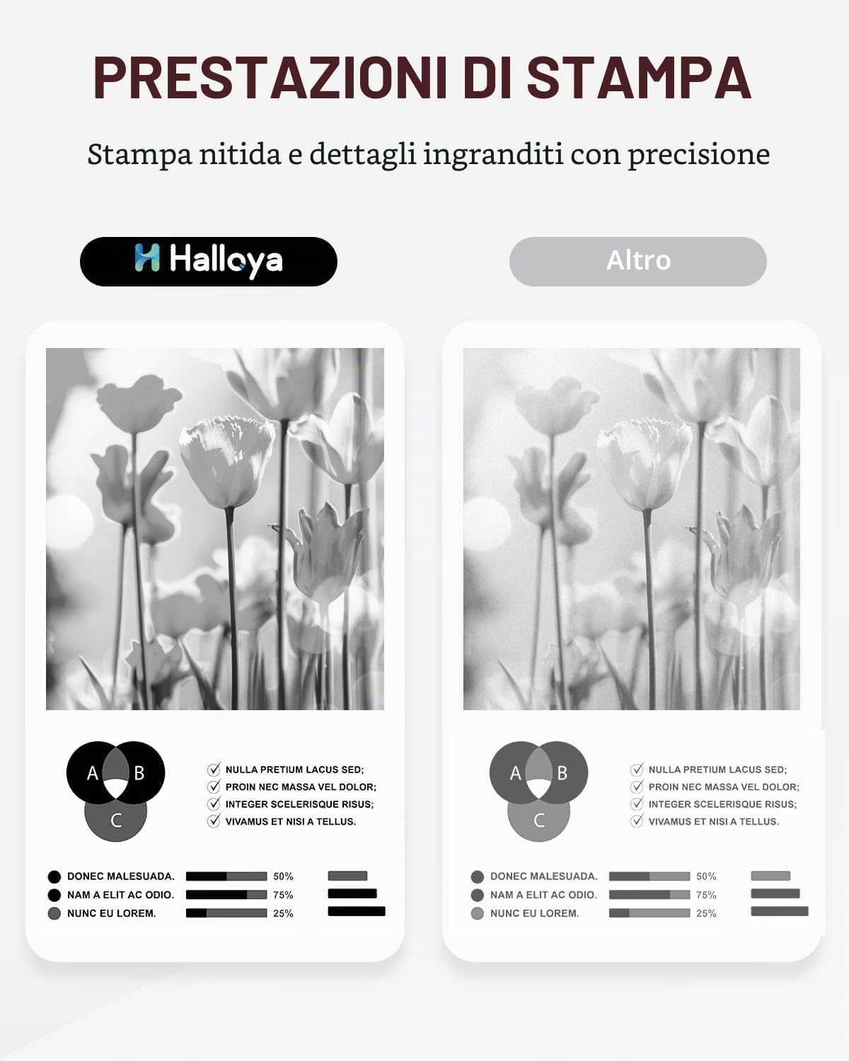 Detalle de Halloya DR2400 Tamburo compatibile per stampanti Brother (DR2400) – alto rendimento