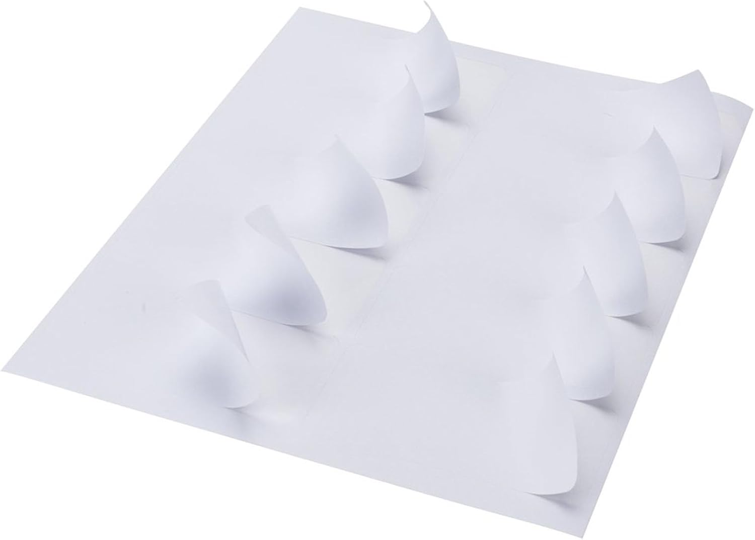 Detalle 2 de 10-Up Shipping Address Labels 2 x 4 in
