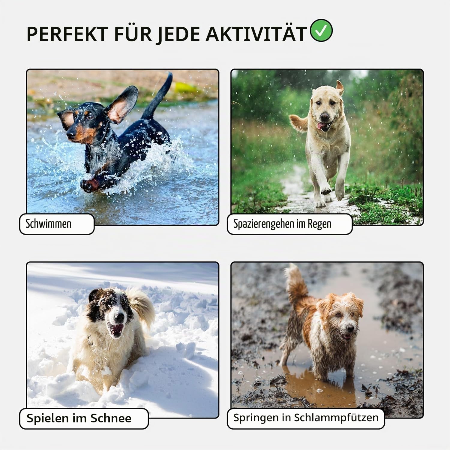 Detalle de CollarDirect Wasserdichtes Hundehalsband Verstellbar – Rosa, Größe S (25–33 cm)