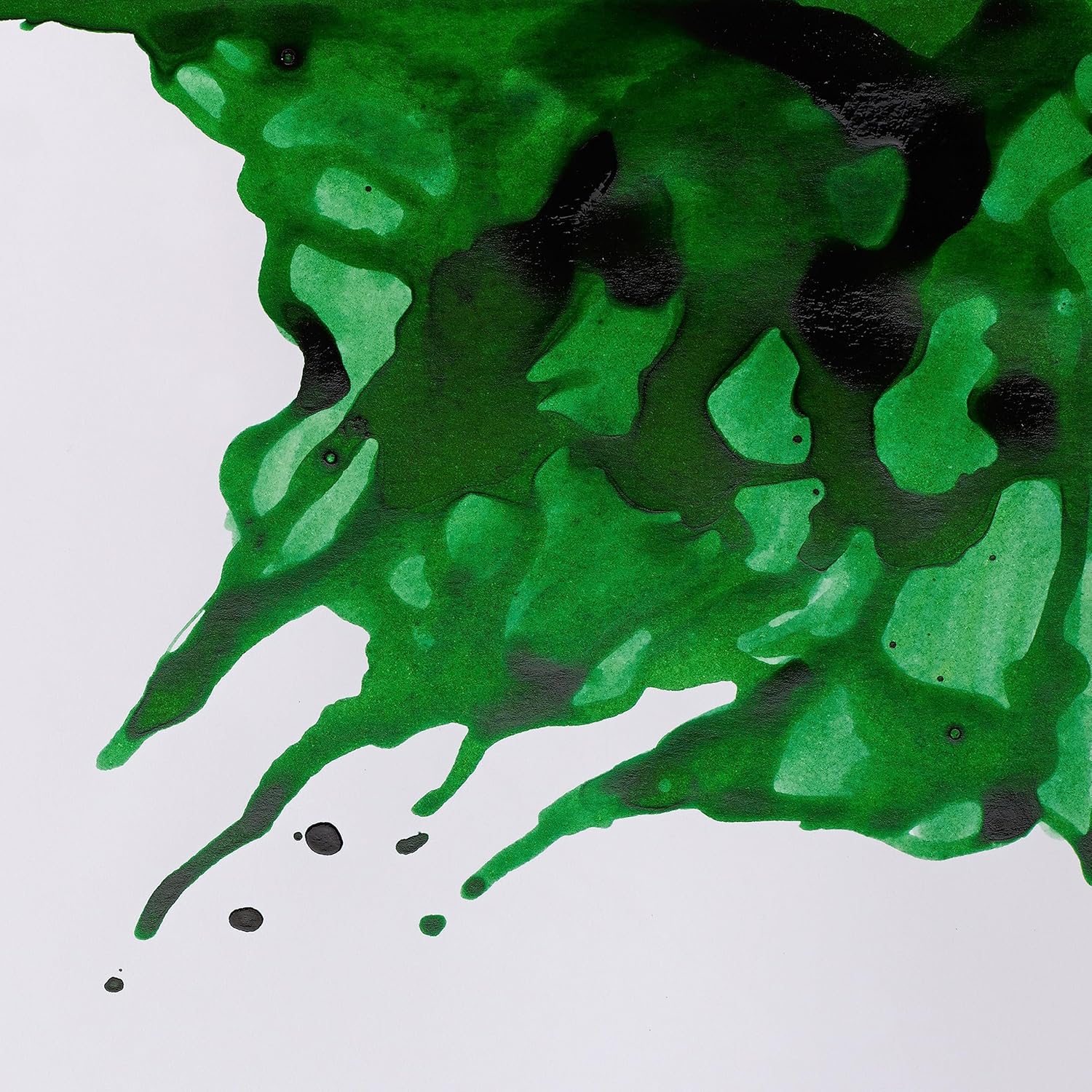 Detalle de Winsor & Newton Astuccio Intro William Collection: stile e funzionalità per chi ama la pittura