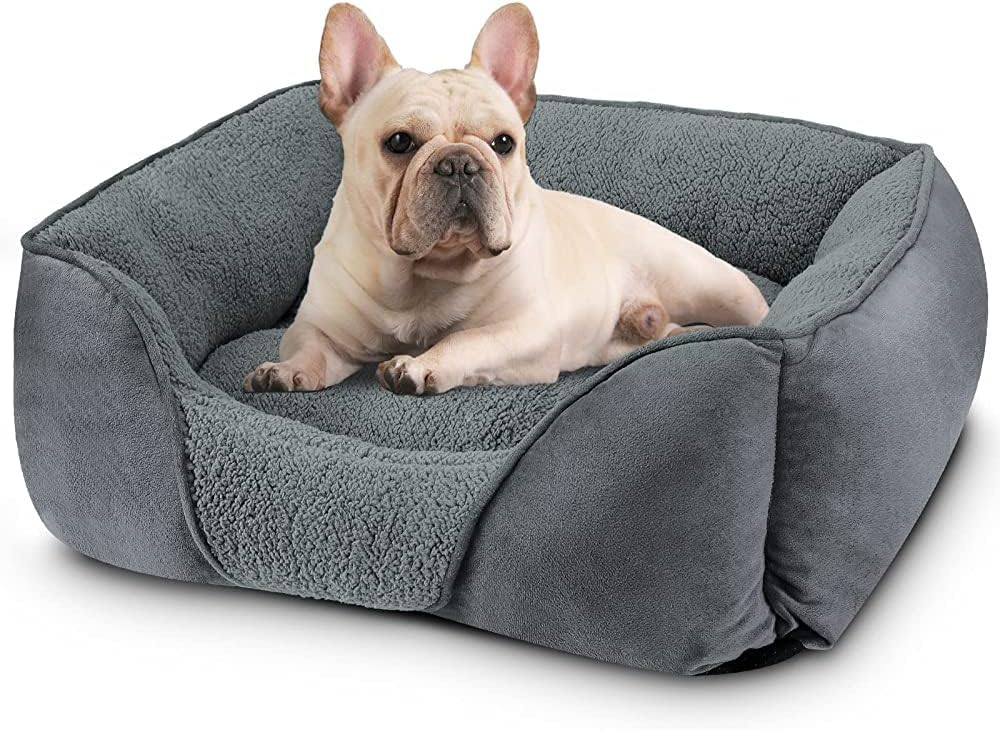 Detalle de MIXJOY Small Dog Bed: Washable Rectangular Orthopedic Bed for Small Dogs and Cats