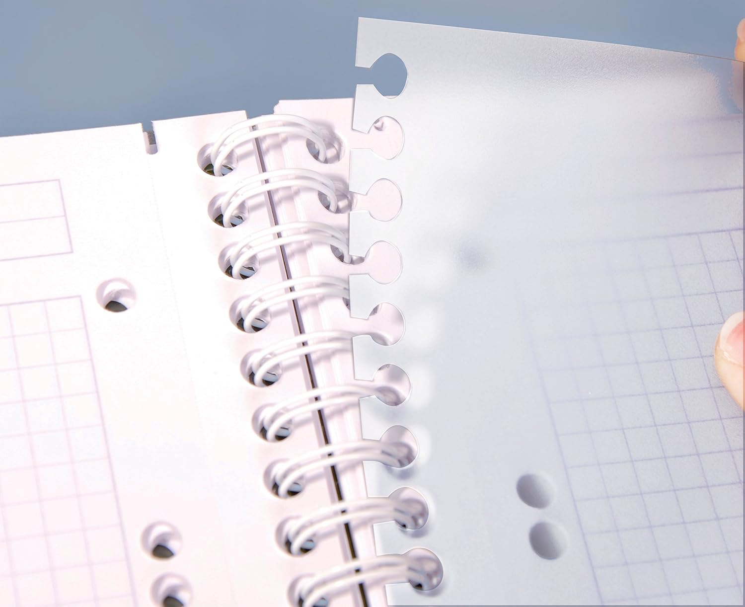 Detalle de Clairefontaine 329755C Linicolor intensi Evolutiv'Book – Taccuino a spirale A5+ 16x21 cm, 180 pagine quadretti, carta 90 g, copertina PP