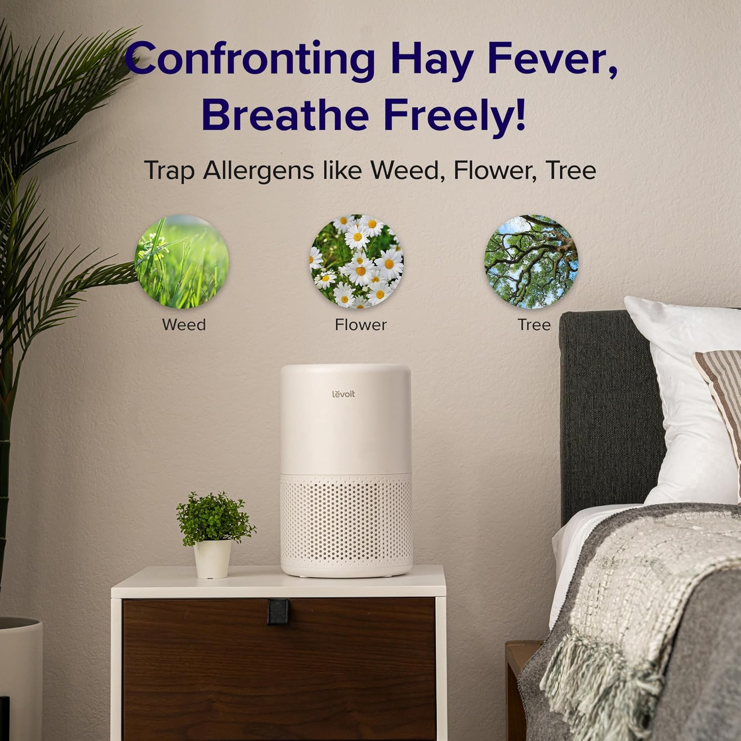 Detalle 2 de LEVOIT Core 200S HEPA Air Purifier 64 m²