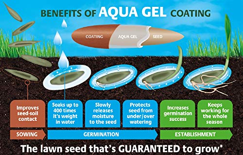Thumbnail 1 de Gro-Sure Aqua Gel Coated Smart Grass Lawn Seed, 80 m2 (3.2 kg) – Blue/Green