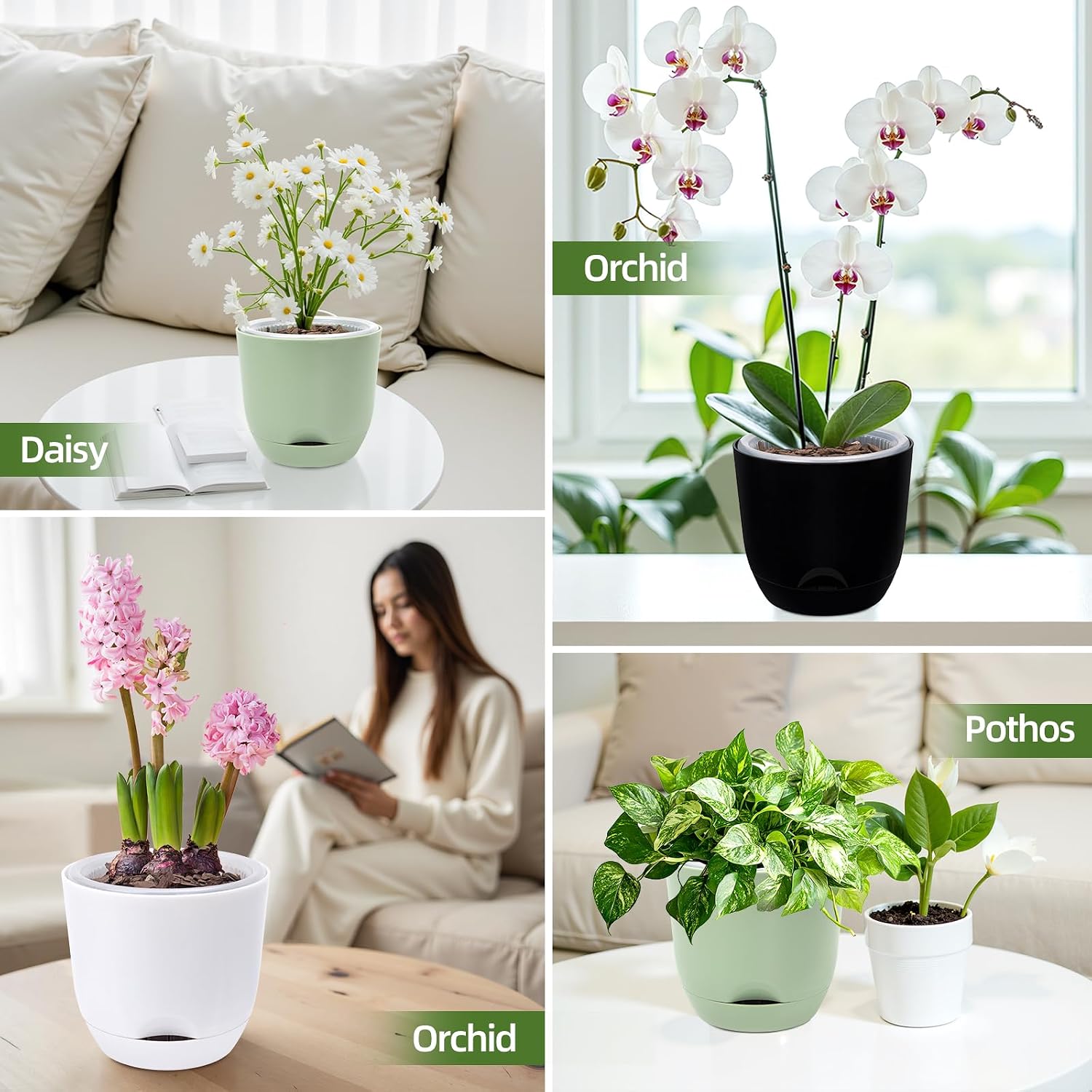 Thumbnail 5 de QCQHDU 2Pack 5.8In Orchid Pots with Self-Watering Reservoirs – Clear Large Plastic Pots for Phalaenopsis (Pure White)
