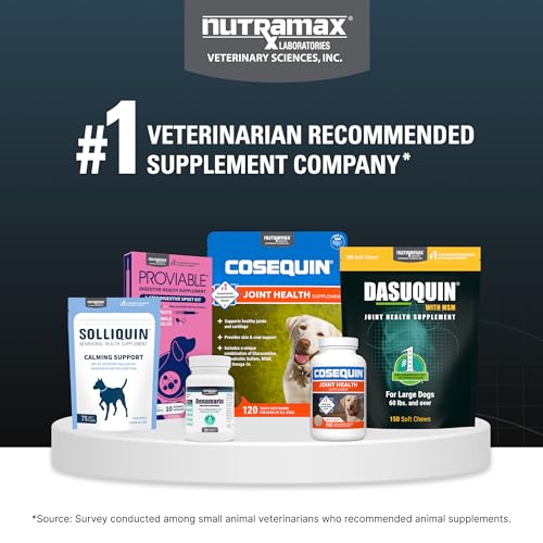 Thumbnail 8 de Nutramax Dasuquin MSM Joint Supplement for Large Dogs, Soft Chews (84 ct)