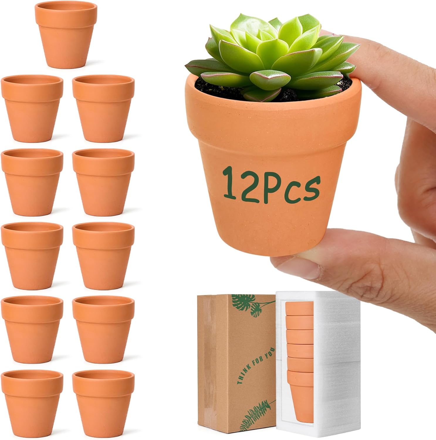 Detalle de T4U 6.5cm Terracotta Plant Pots 12 Pcs 🌱
