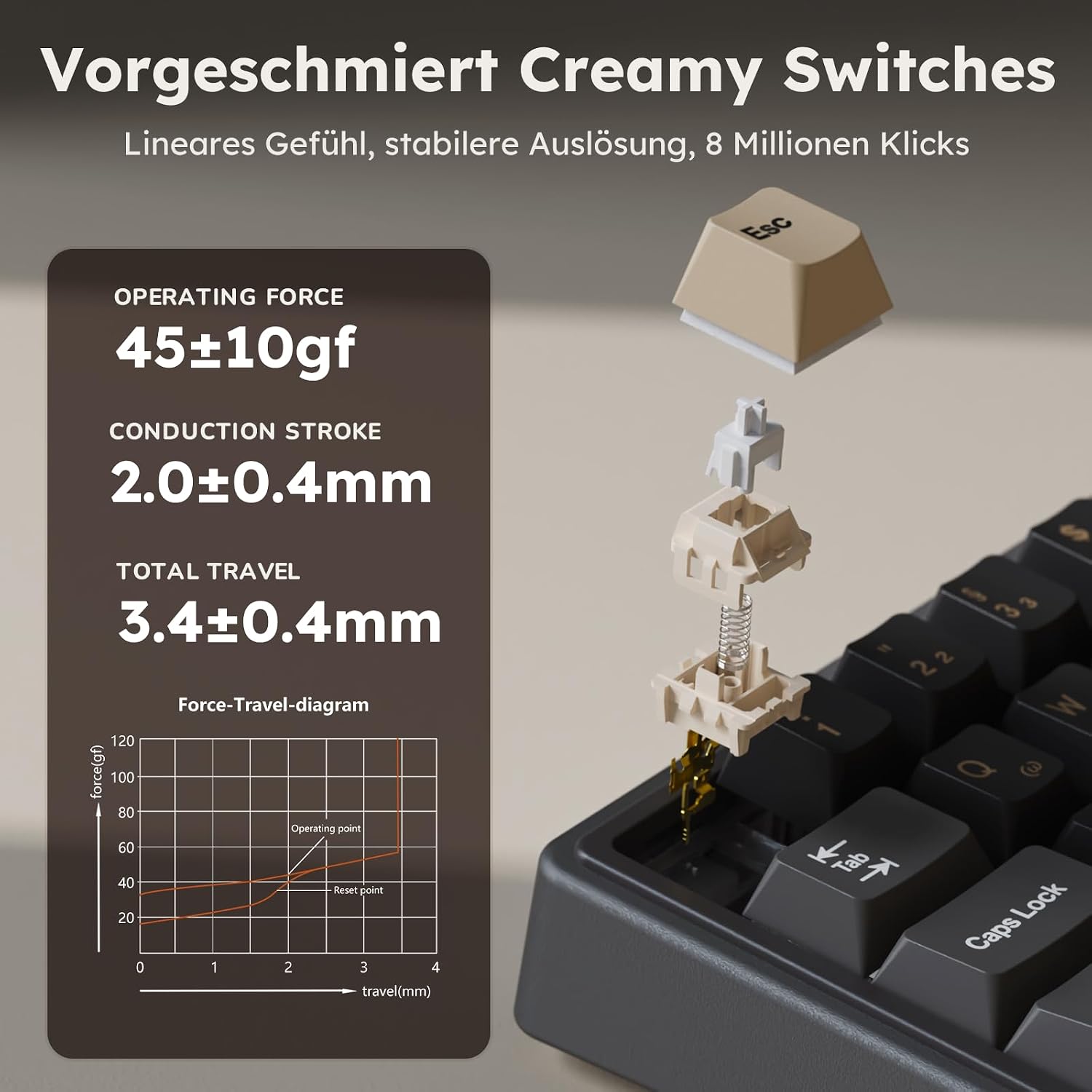 Thumbnail 4 de RK ROYAL KLUDGE R65 60% mechanische Tastatur ⌨