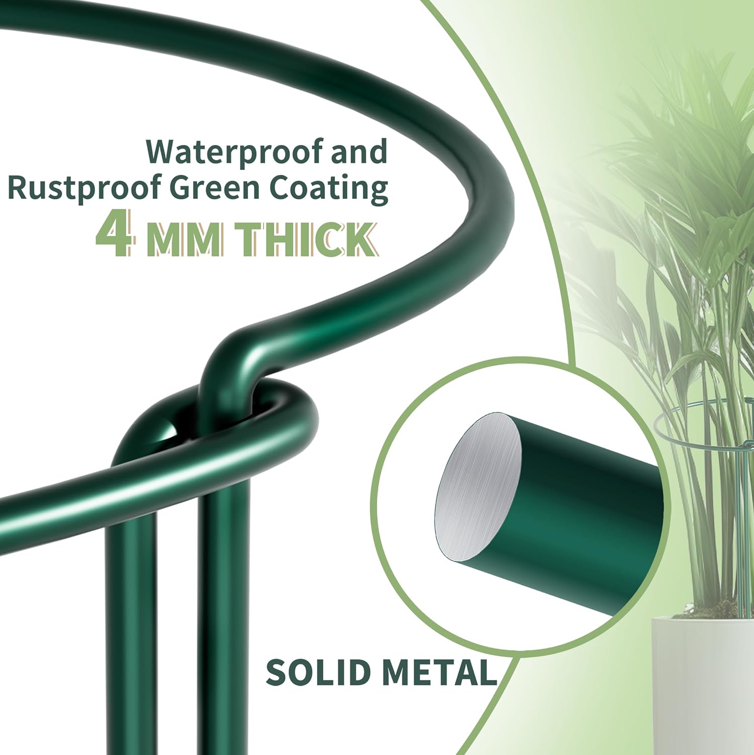 Detalle 2 de 10Pcs Thicken 4MM Metal Garden Supports (25cm Ø x 60cm H) – Extra Thick Plant Cages for Tomatoes & Peonies