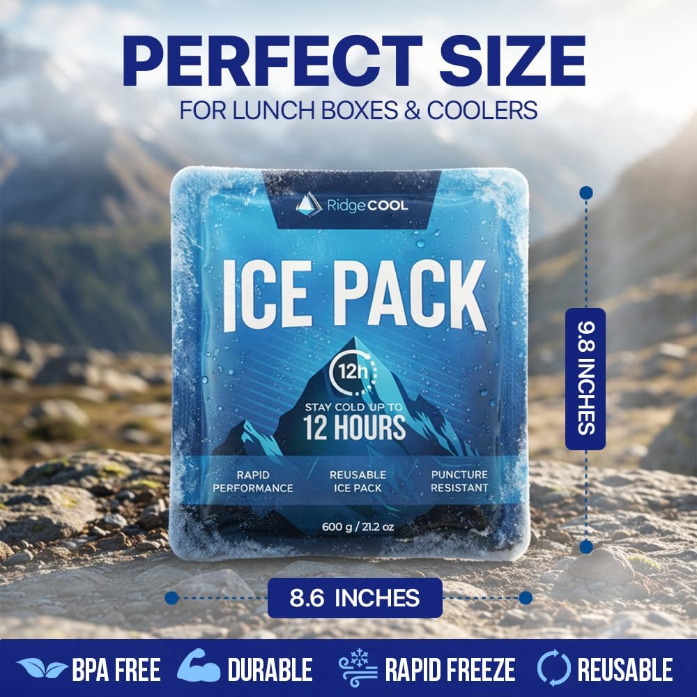 Thumbnail 4 de RIDGECOOL Reusable Cooler Ice Packs, 4-Pack, Large 9.8 x 8.6-Inch Size