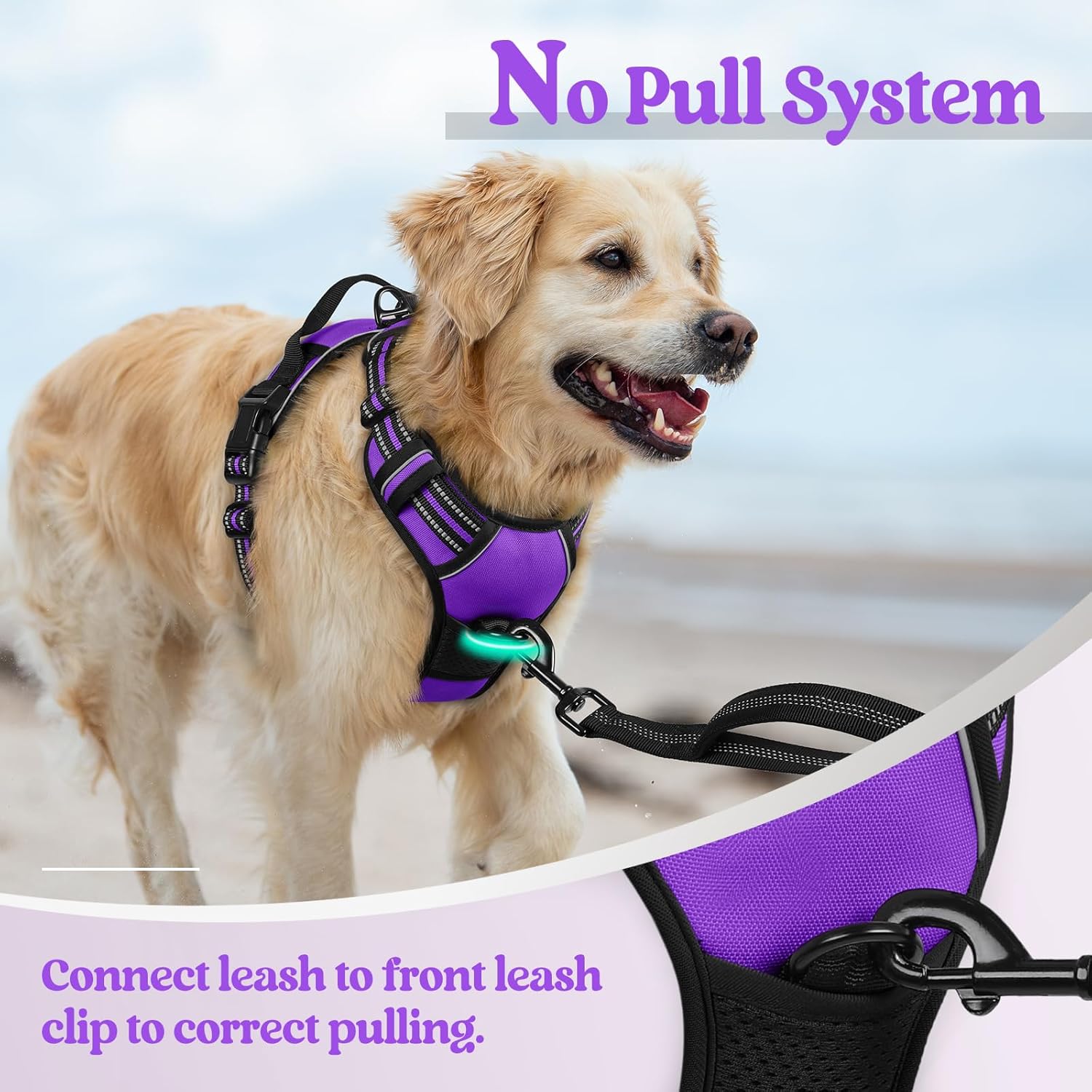 Thumbnail 5 de Rabbitgoo Dog Harness Medium No Pull with 2 Clips and Soft Padded Vest